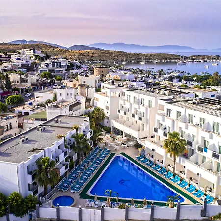 Club Shark Hotel-3